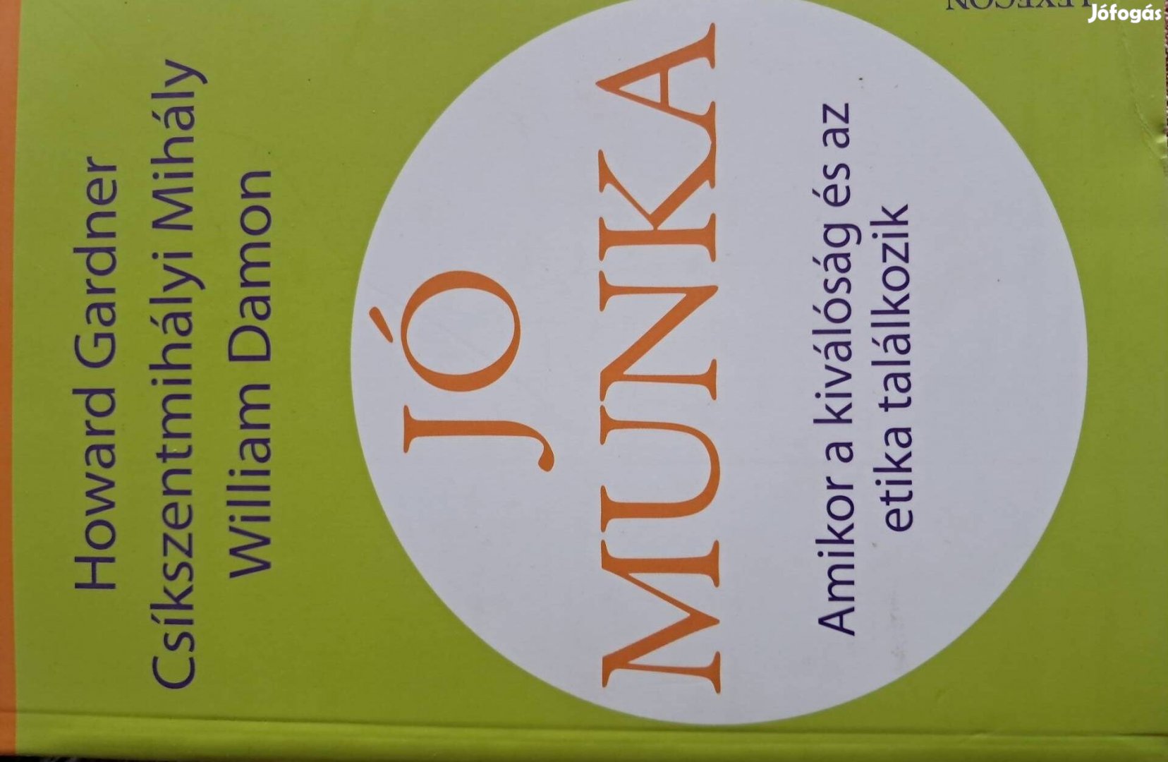 Csíkszentmihályi Mihály Jó Munka