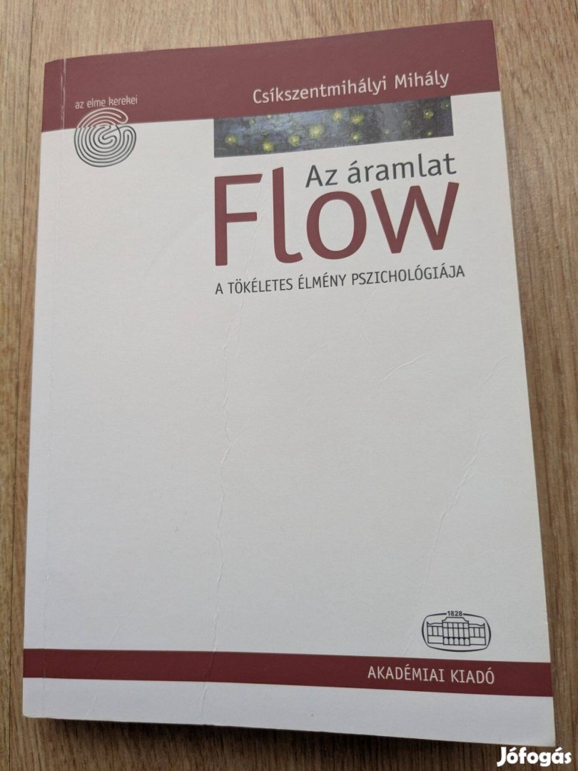 Csíkszentmihályi Mihály: Flow, Az Áramlat