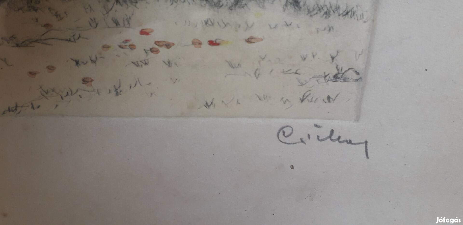 Csillag József (1894-1977): Nyírjes, színezett grafika üvegezett.