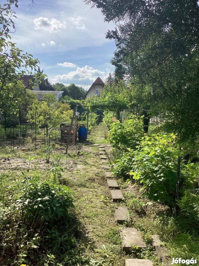 Csillaghegyi telek felújítandó/bontandó házzal