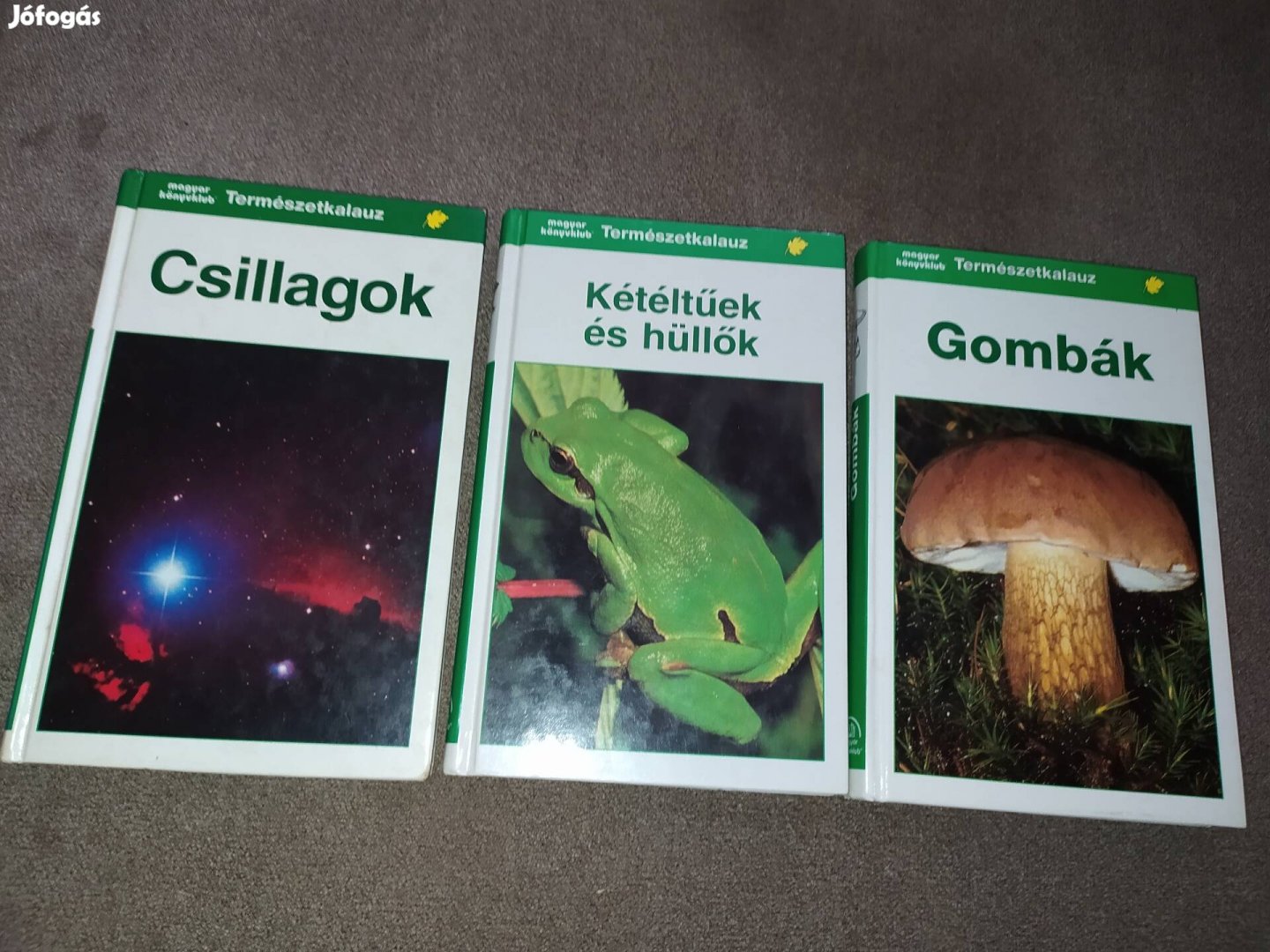 Csillagok, Kétéltűek és hüllők , Gombák eladó