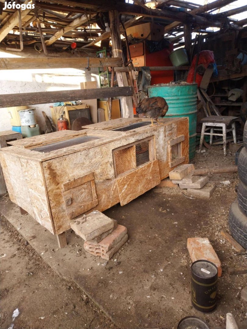 Csirke ketrec nevelő láda ól