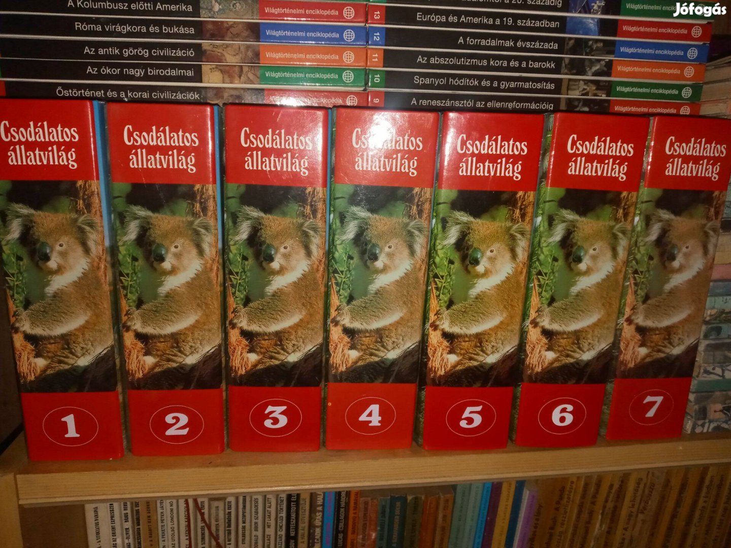 Csodálatos Állatvilág