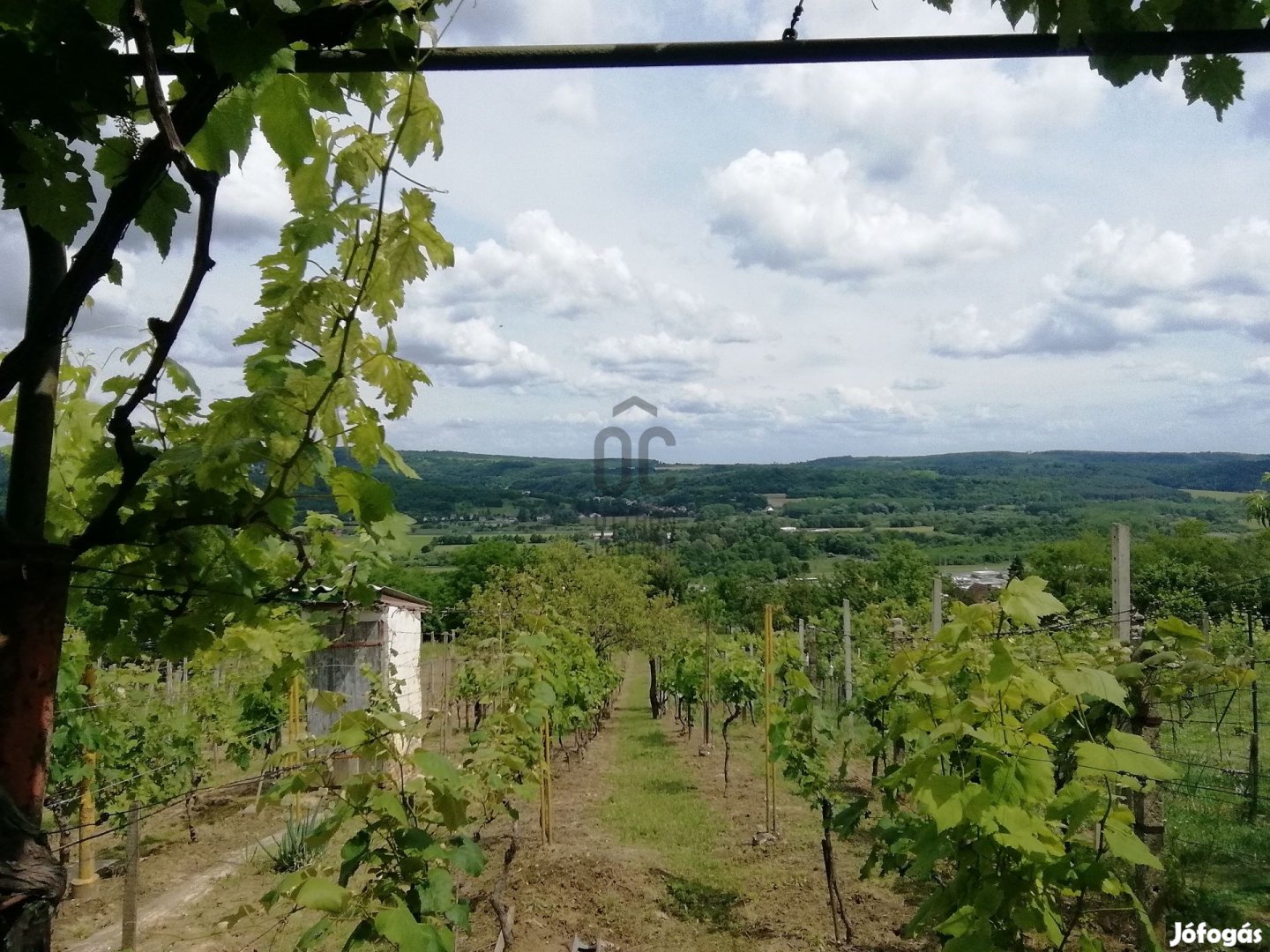 Csodaszép panorámával  birtok eladó Zalaegerszeg-Öreghegyen