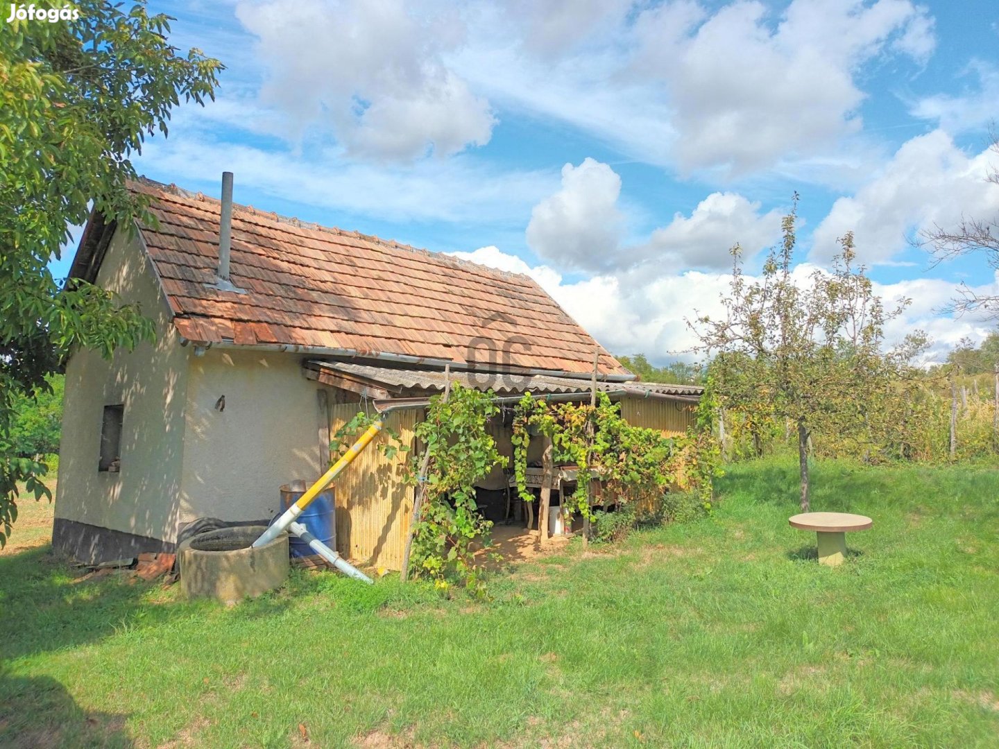 Csodaszép panorámával szomszédmentes birtok eladó Szentgyörgyvár szőlő