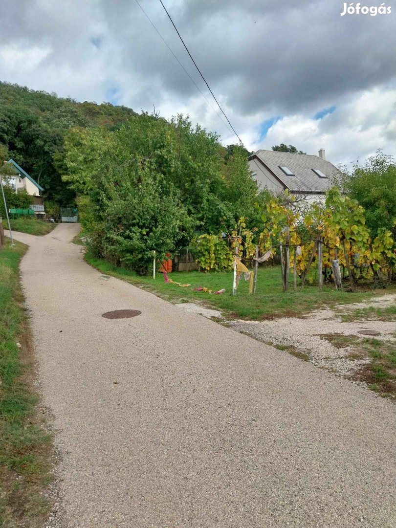 Csókakőn belterületi telek eladó