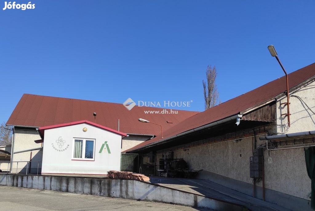 Csongrádi eladó 950 nm-es üzem
