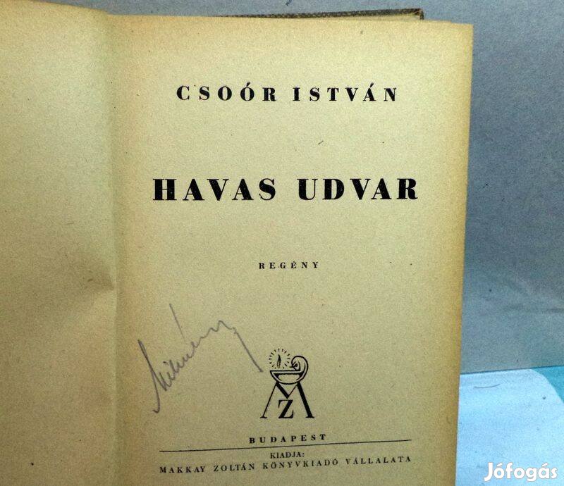 Csoór István: Havas udvar