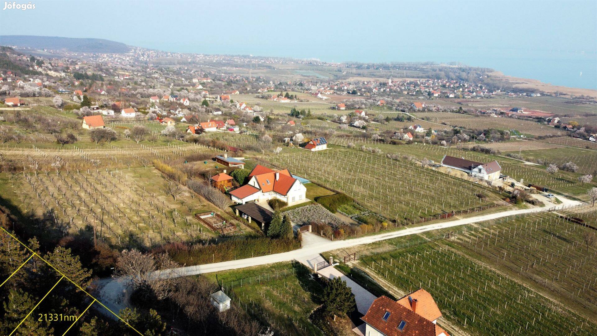 Csopak-Balaton-erdő