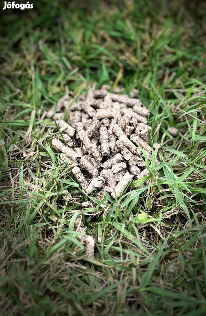 Cukorrépa pellet akció