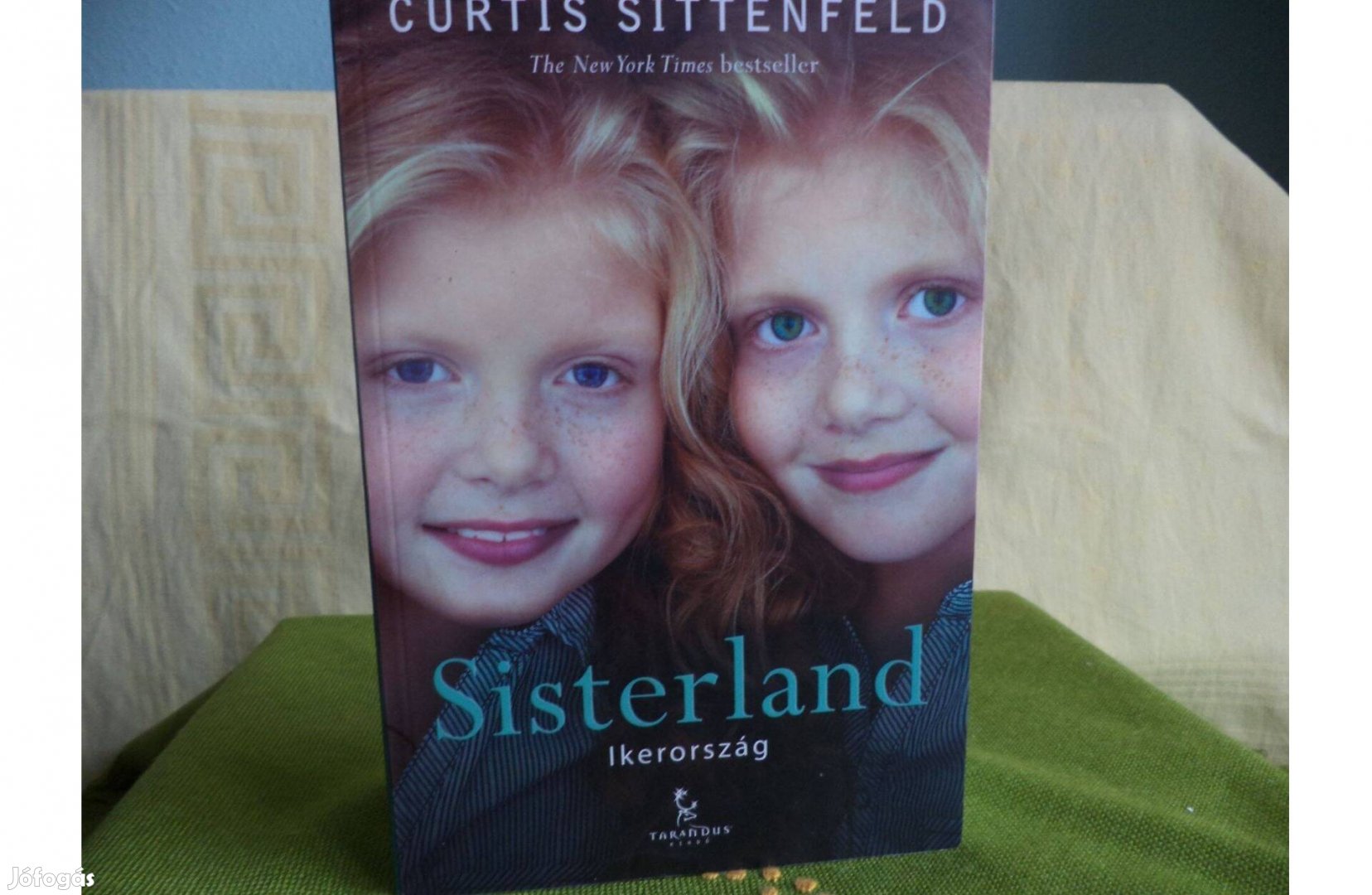 Curtis Sittenfeld Sisterland - Ikerország