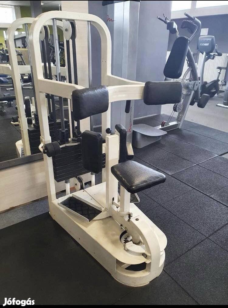 Cybex Rotary hasgép konditermi Life Fitness Atlas Technogym