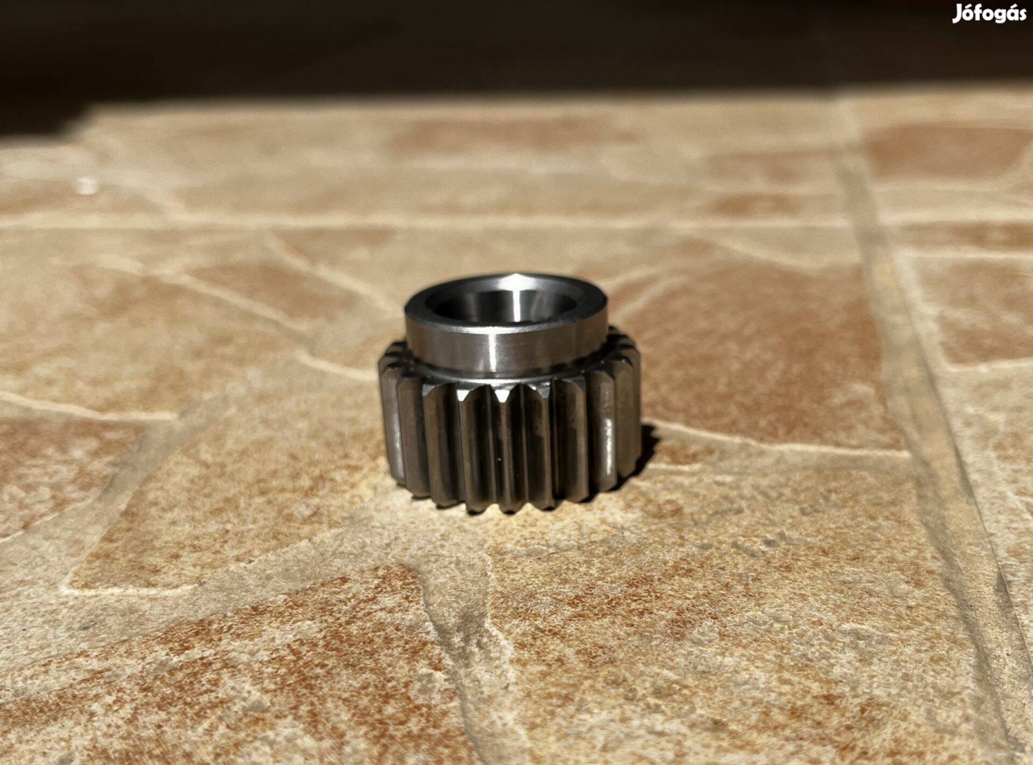 D50B0 primer fogaskerék