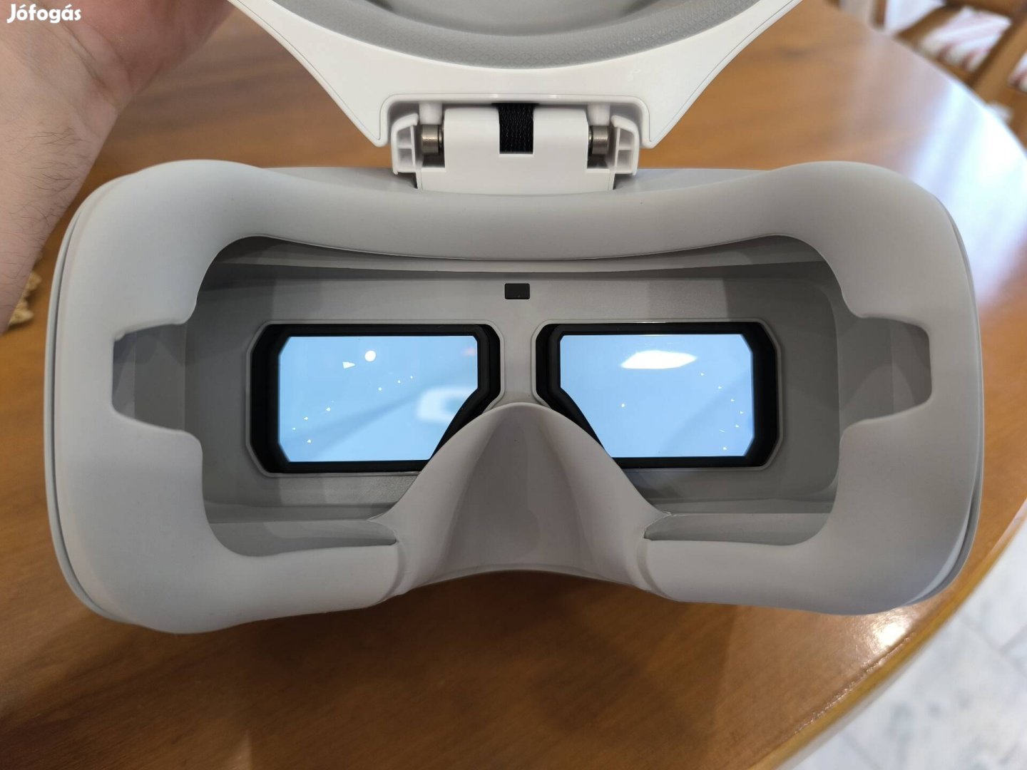 DJI Goggles 
