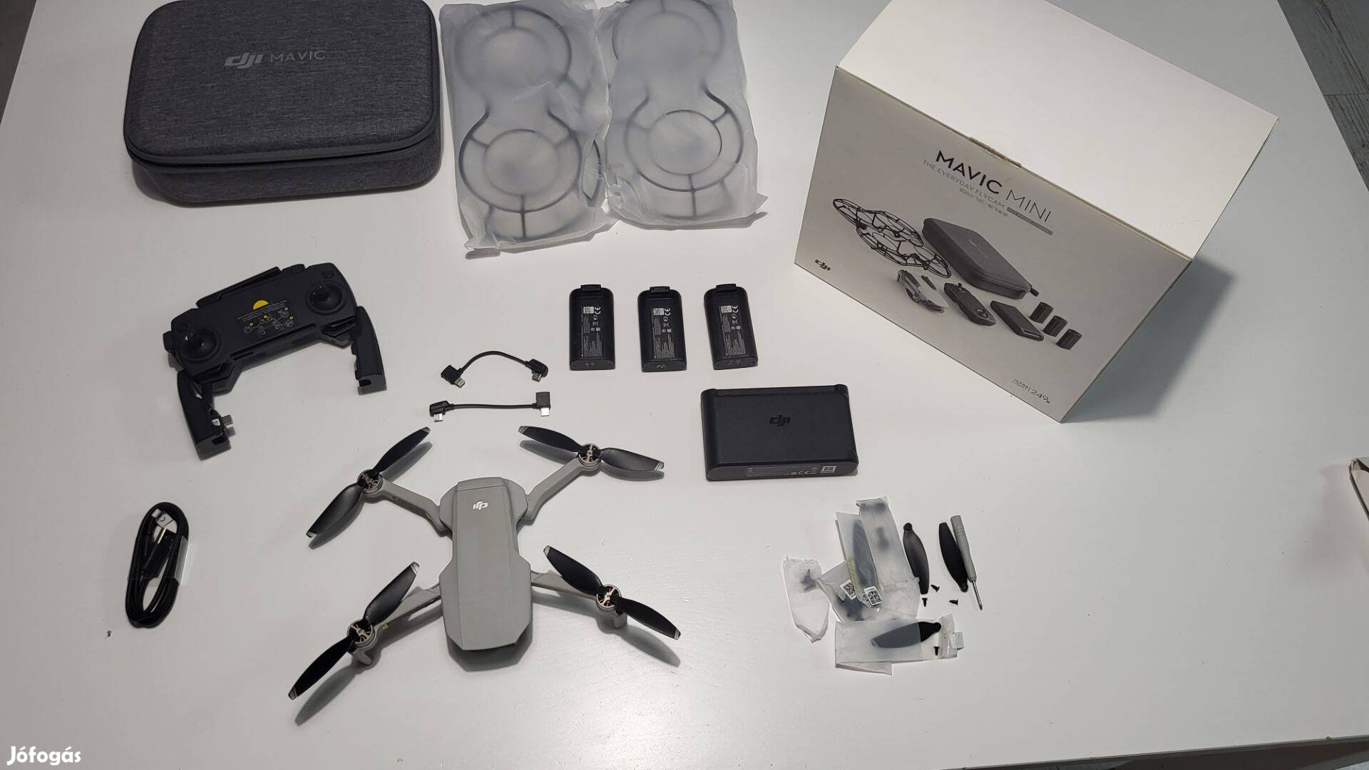 DJI Mavic Mini 1