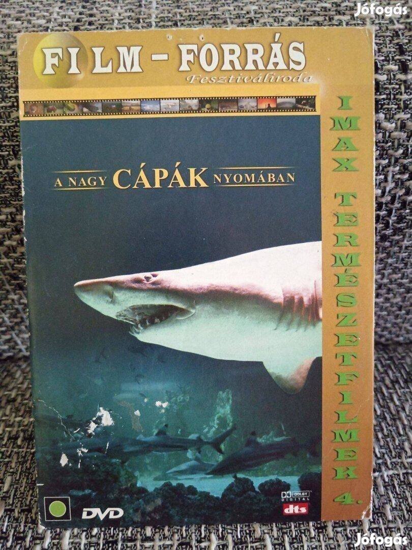 DVD A nagy cápák nyomában Imax