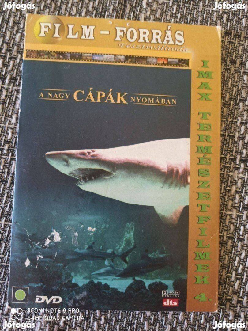 DVD Természetfilm Imax A nagy cápák nyomában