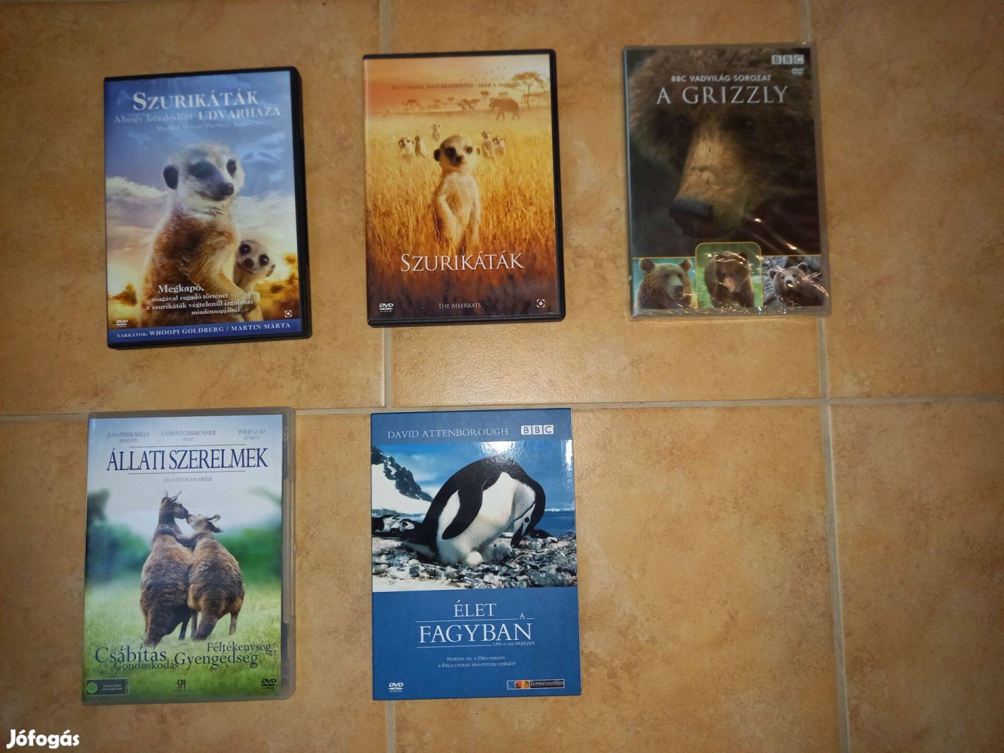 DVD film csomag állatos szurikáta grizzly
