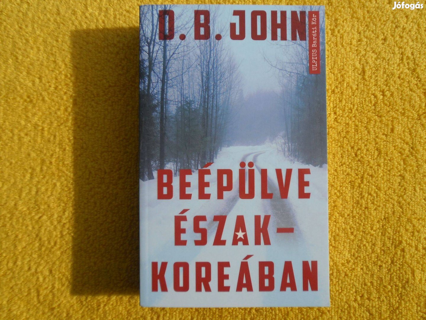 D.B. John: Beépülve Észak-Koreában