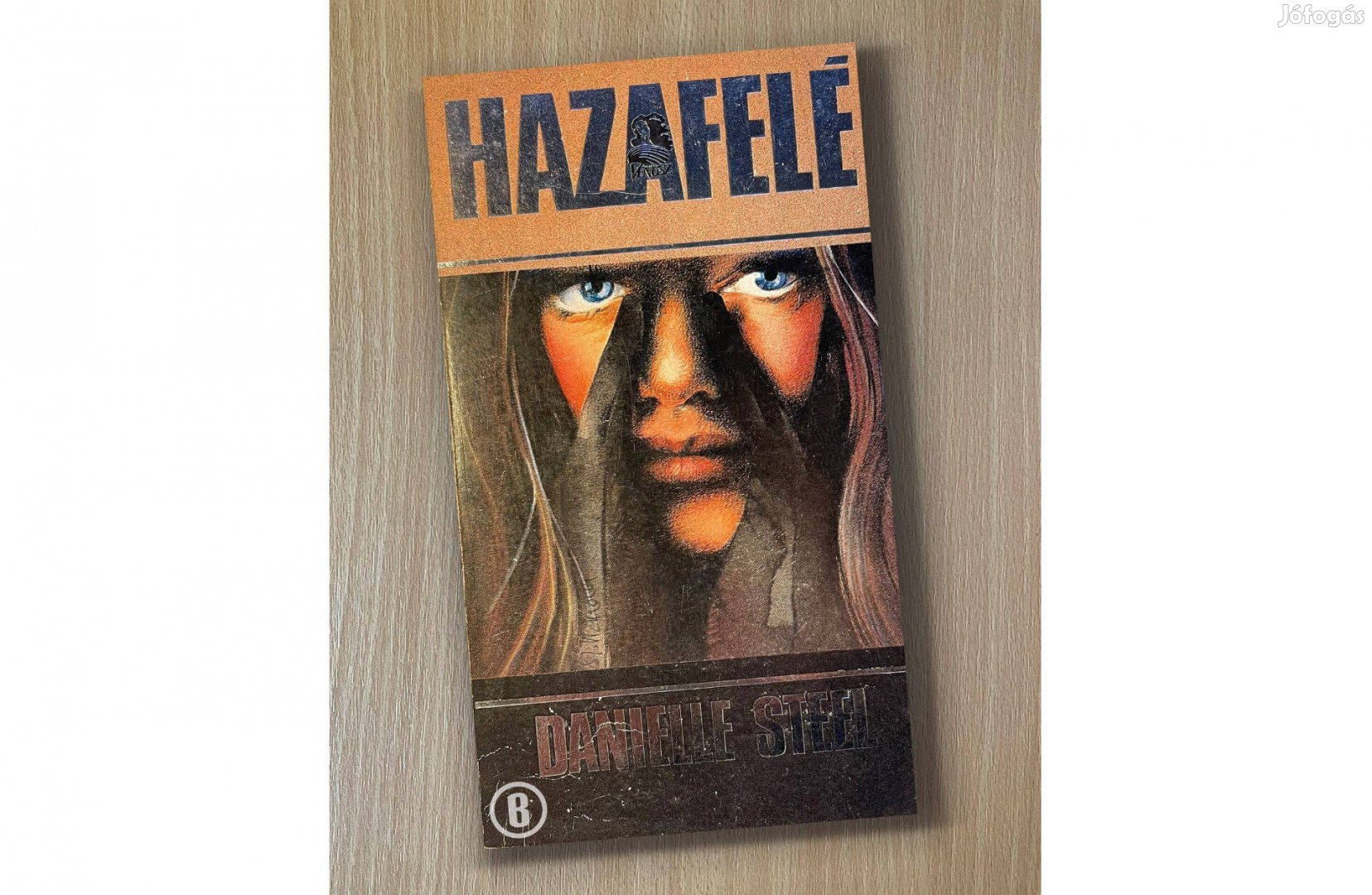 D. Steel: Hazafelé