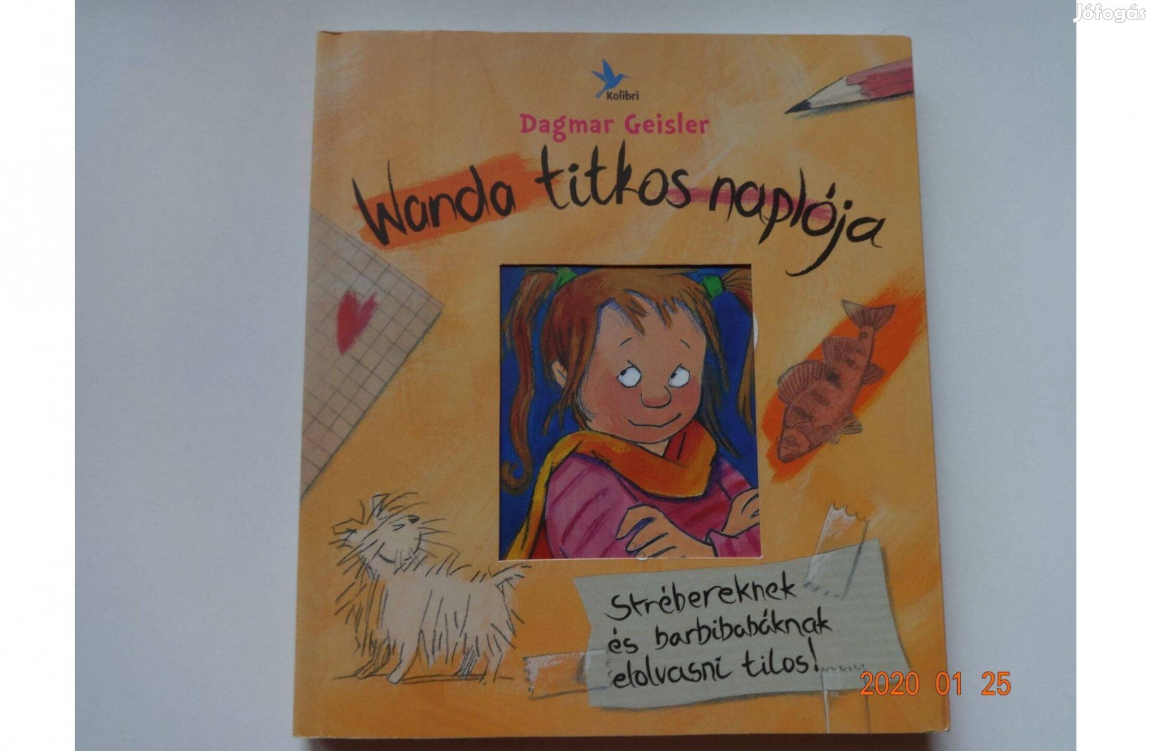 Dagmar Geisler: Wanda titkos naplója - gyermekkönyv a szerző rajzaiva