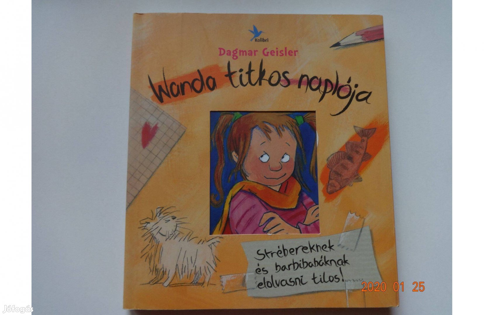 Dagmar Geisler: Wanda titkos naplója - gyermekkönyv a szerző rajzaival