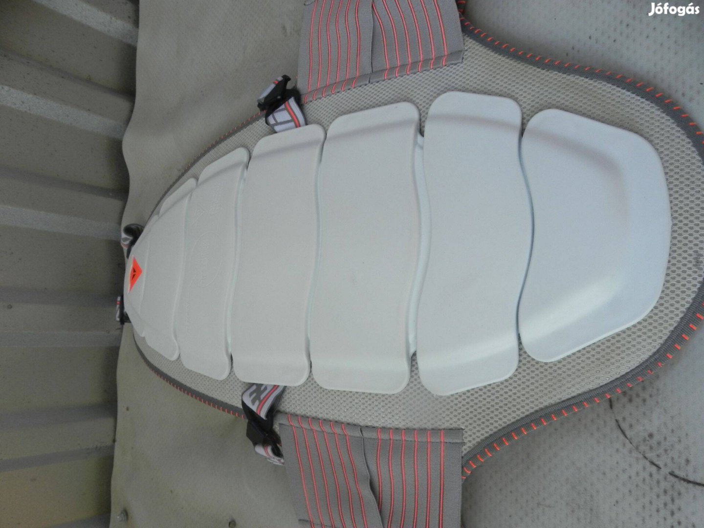 Dainese Evo 2 sport háti protektor