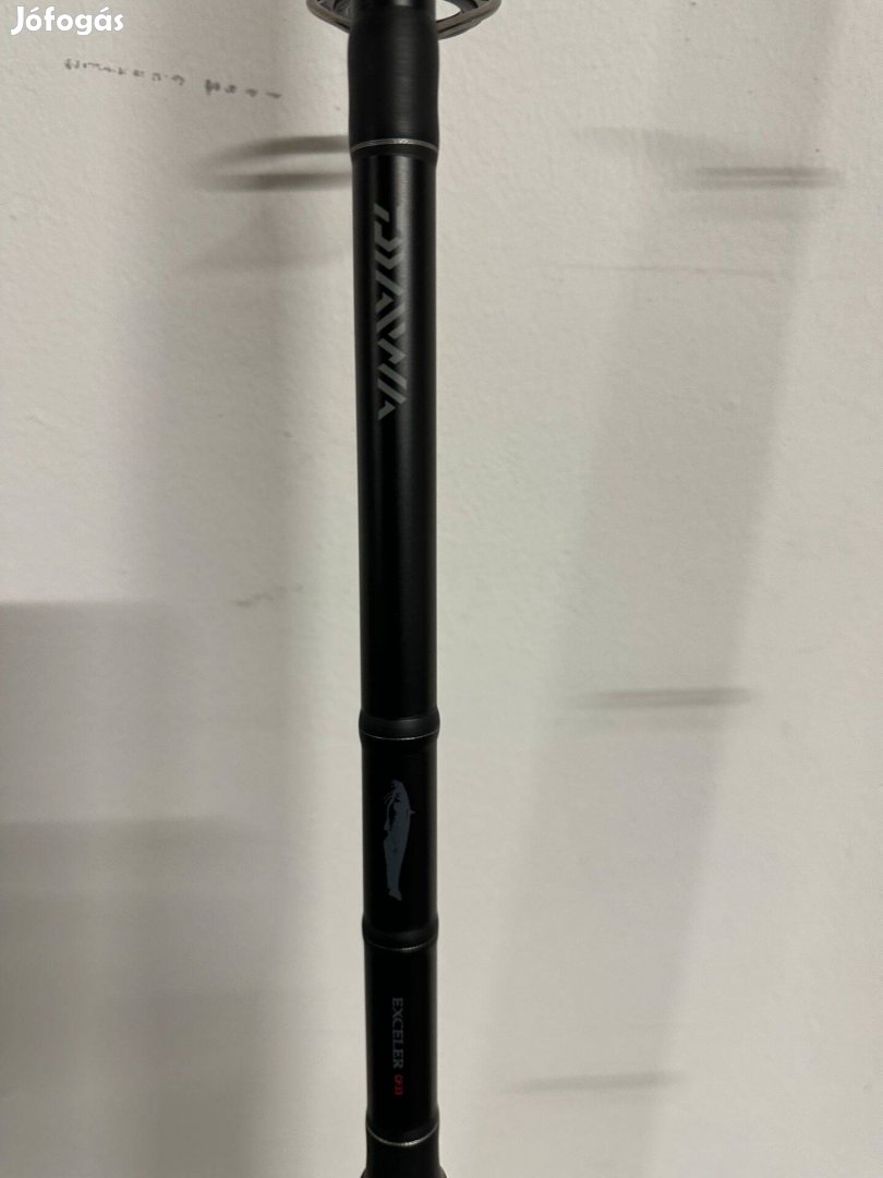 Daiwa Exceler Catfish 3fm 200-600g harcsázó horgászbot