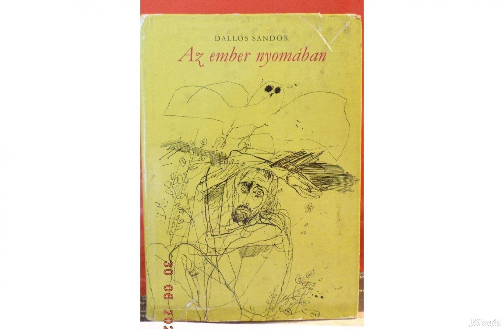 Dallos Sándor: Az ember nyomában