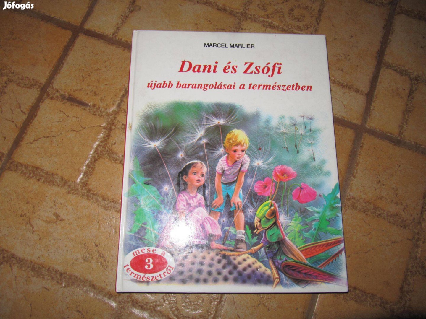 Dani és Zsófi újabb barangolásai a természetben