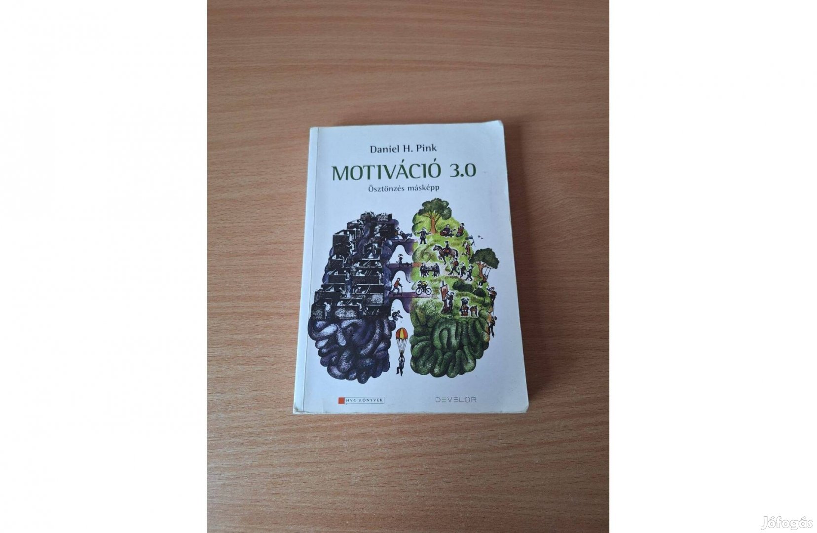 Daniel H. Pink: Motiváció 3.0. Ösztönzés másképp