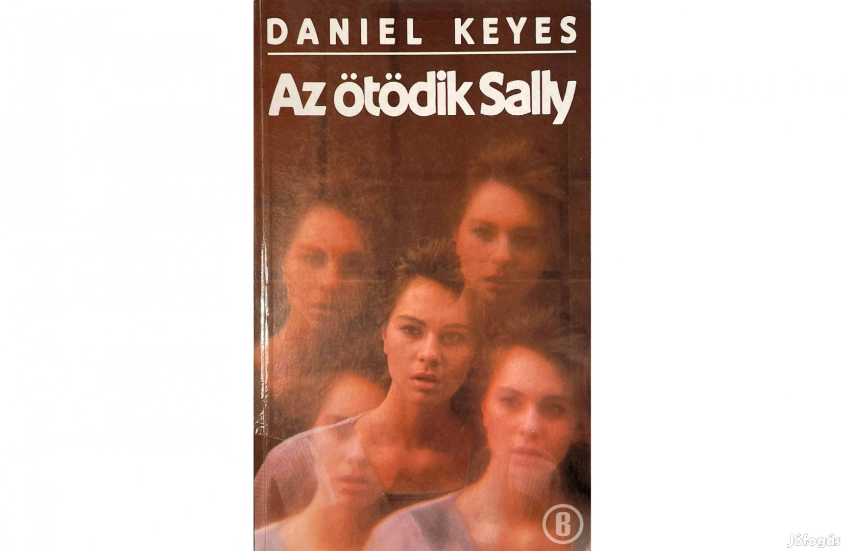 Daniel Keyes: Az ötödik Sally