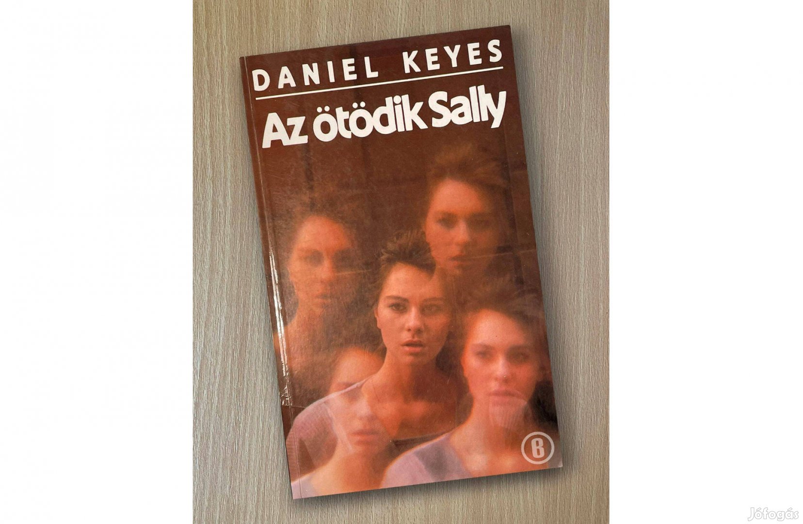 Daniel Keyes: Az ötödik Sally