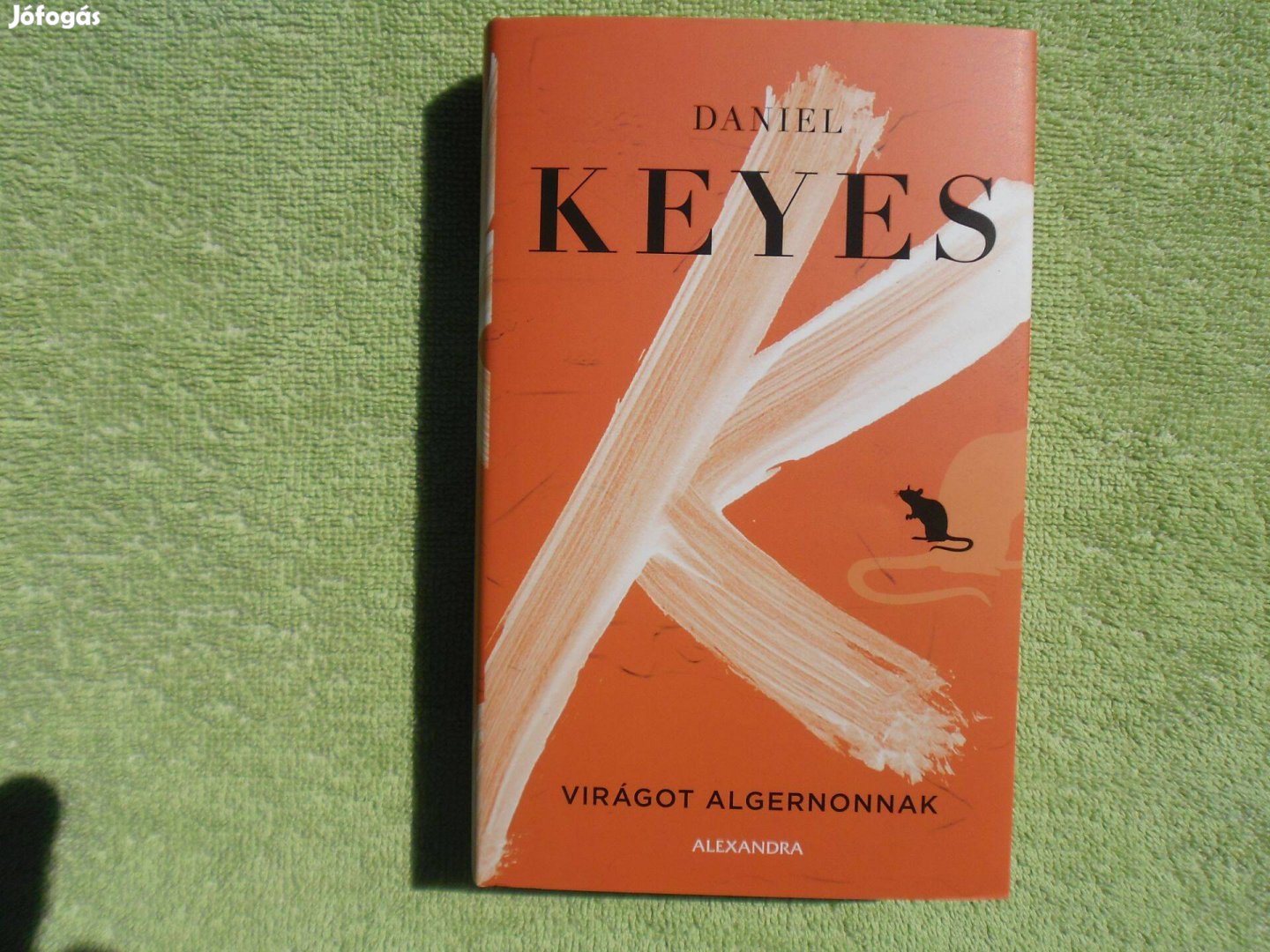 Daniel Keyes: Virágot Algernonnak