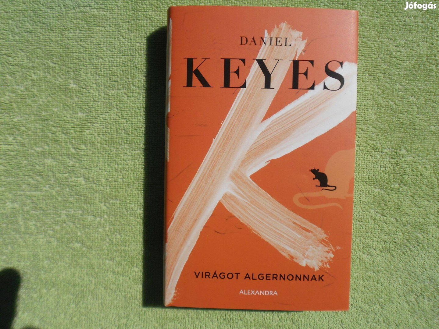 Daniel Keyes: Virágot Algernonnak