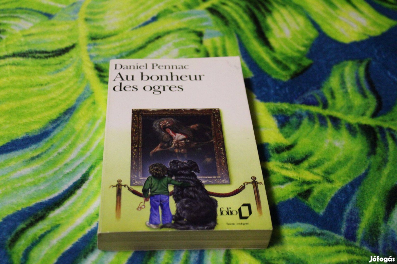 Daniel Pennac- Au bonheur des ogres, franciaul