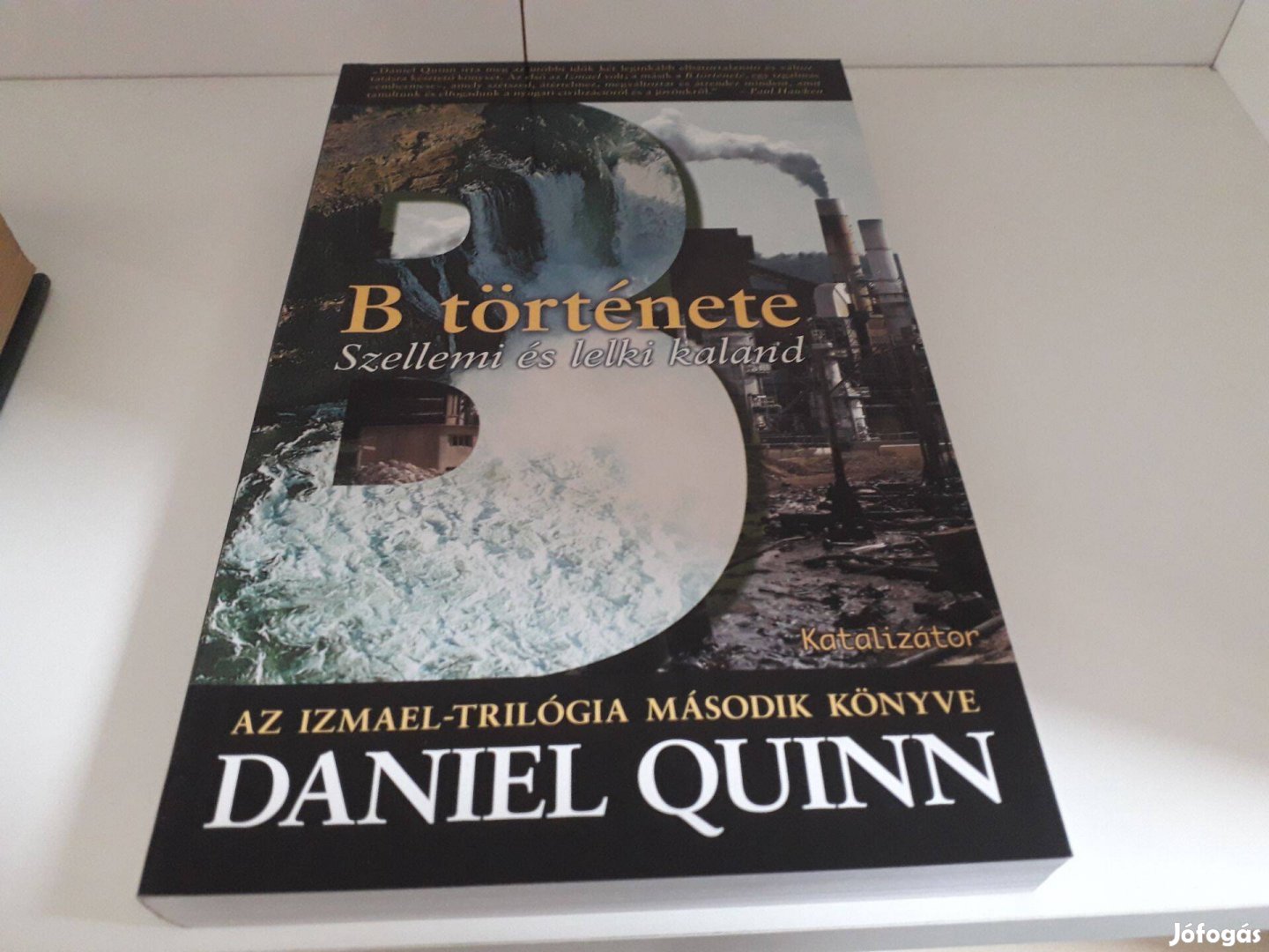 Daniel Quinn - B története