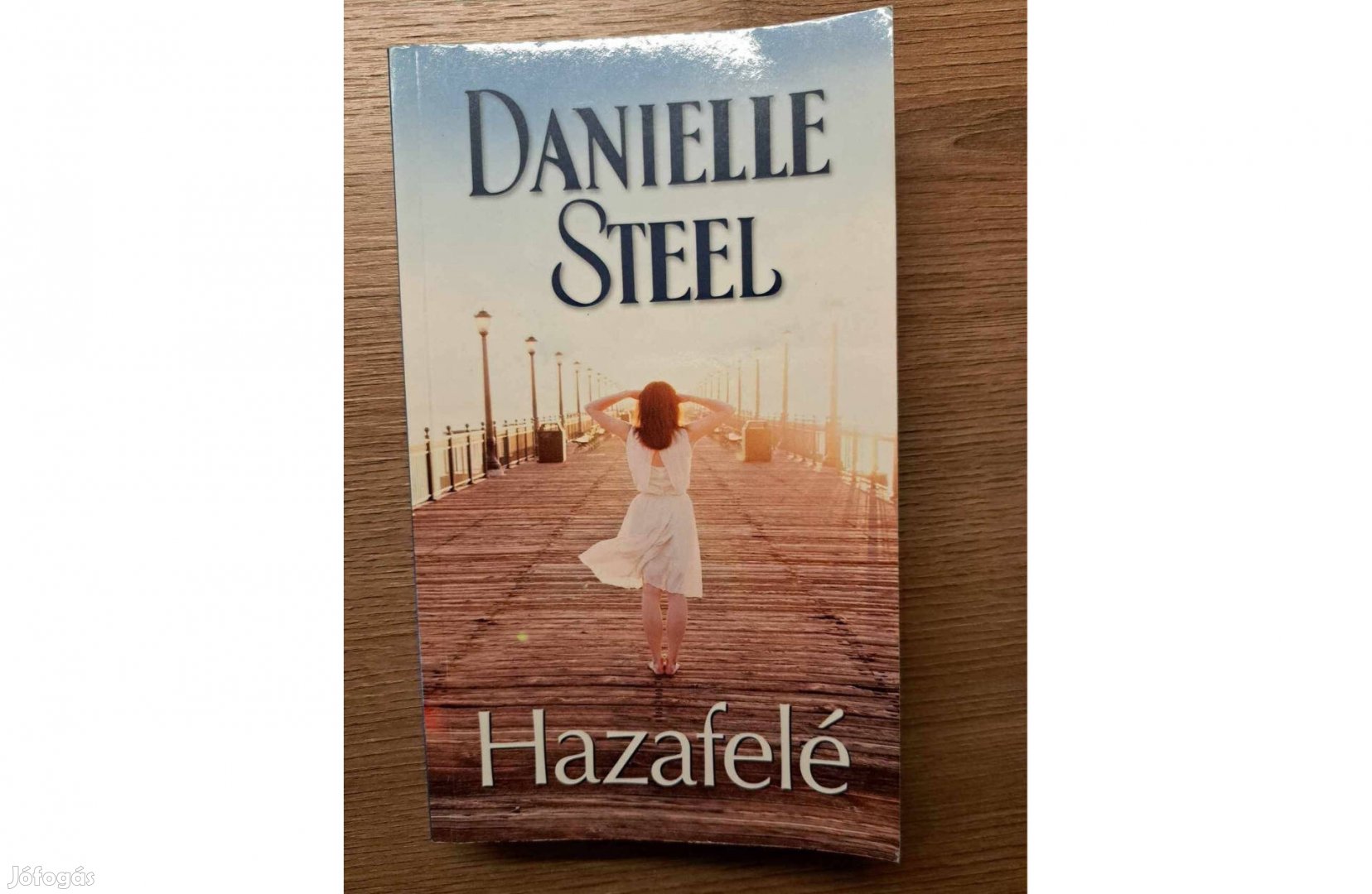 Daniell Steel - Hazafelé