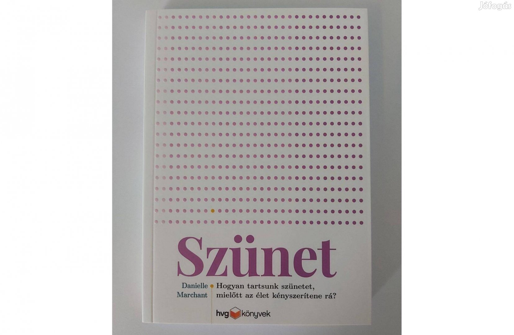 Danielle Marchant: Szünet