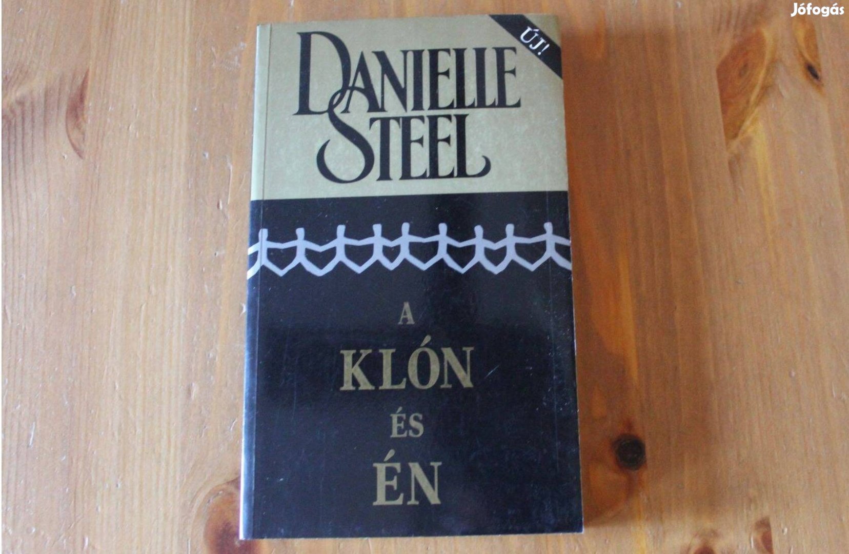 Danielle Steel A klón és én