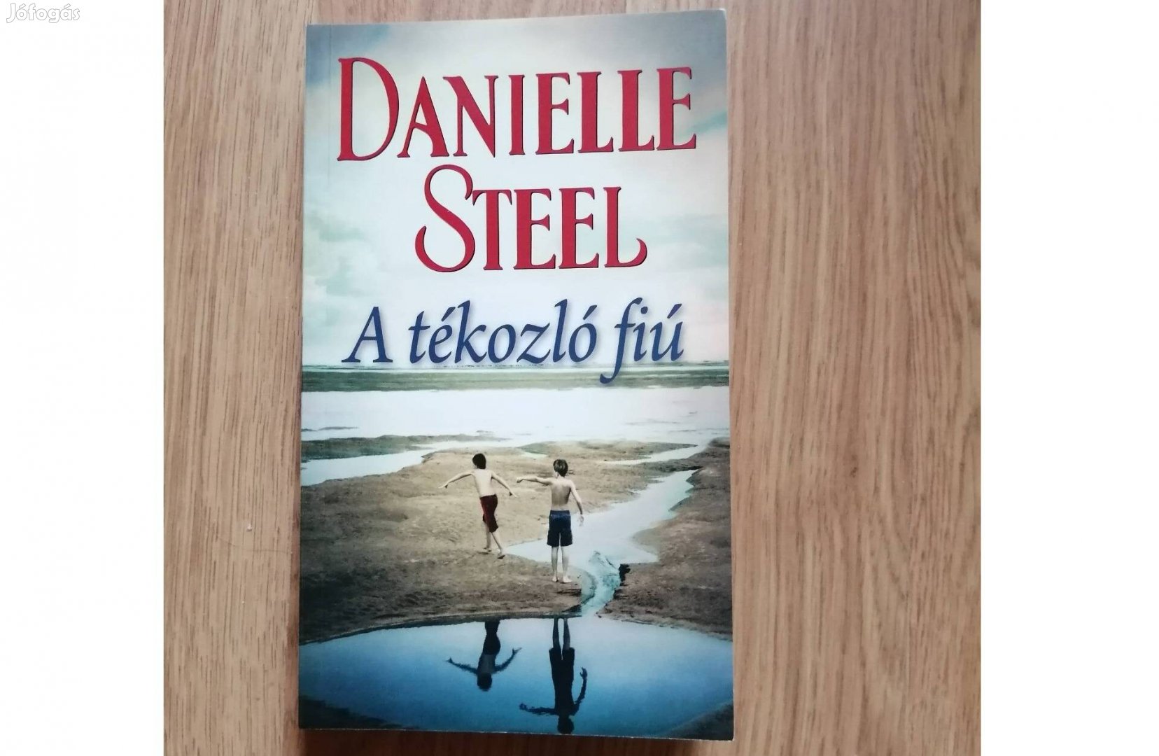 Danielle Steel A tékozló fiú