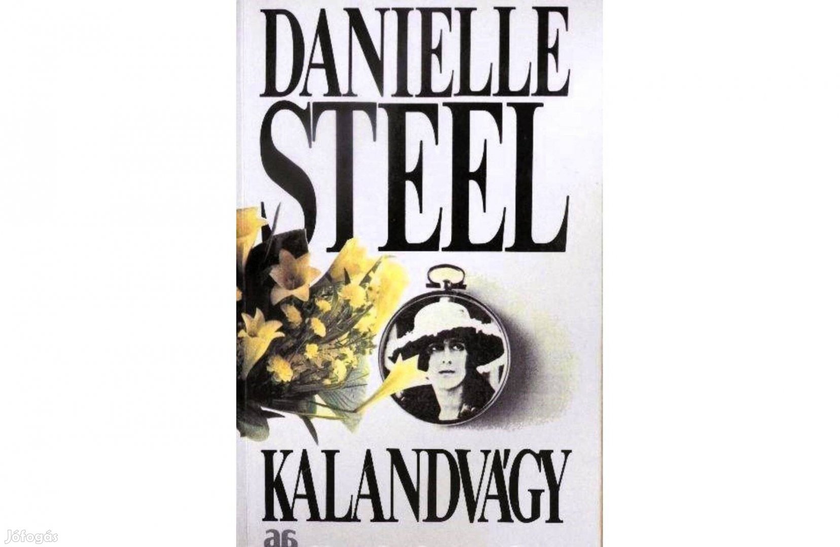 Danielle Steel Kalandvágy