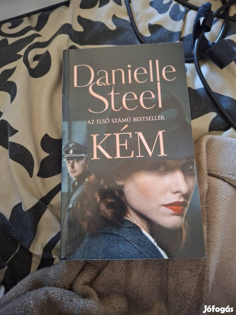 Danielle Steel Kém 2022 könyv