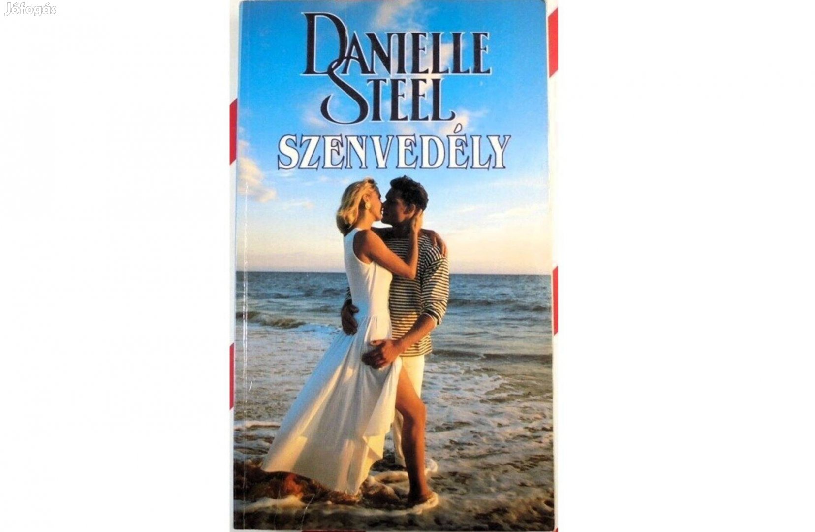 Danielle Steel Szenvedély