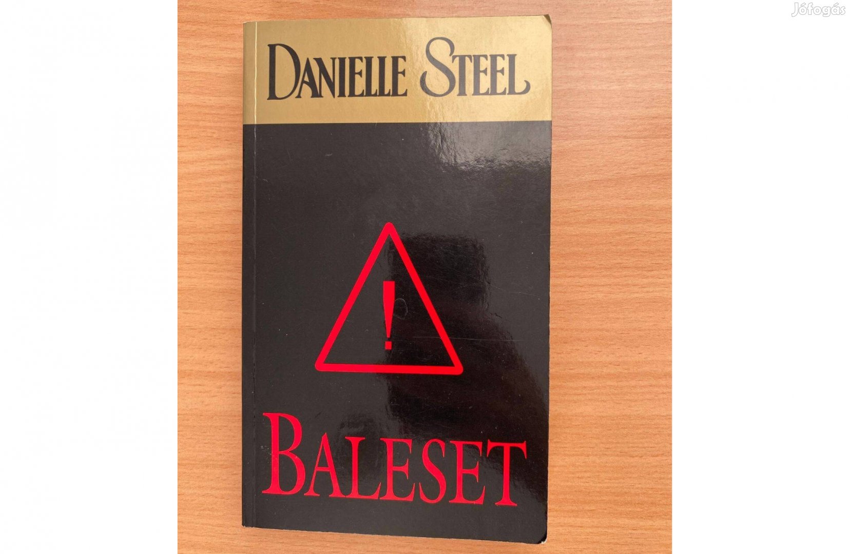 Danielle Steel Baleset című könyv