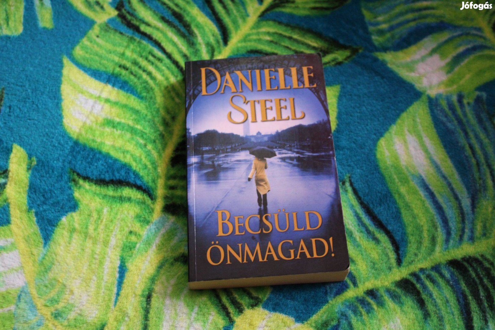 Danielle Steel: Becsuld onmagad