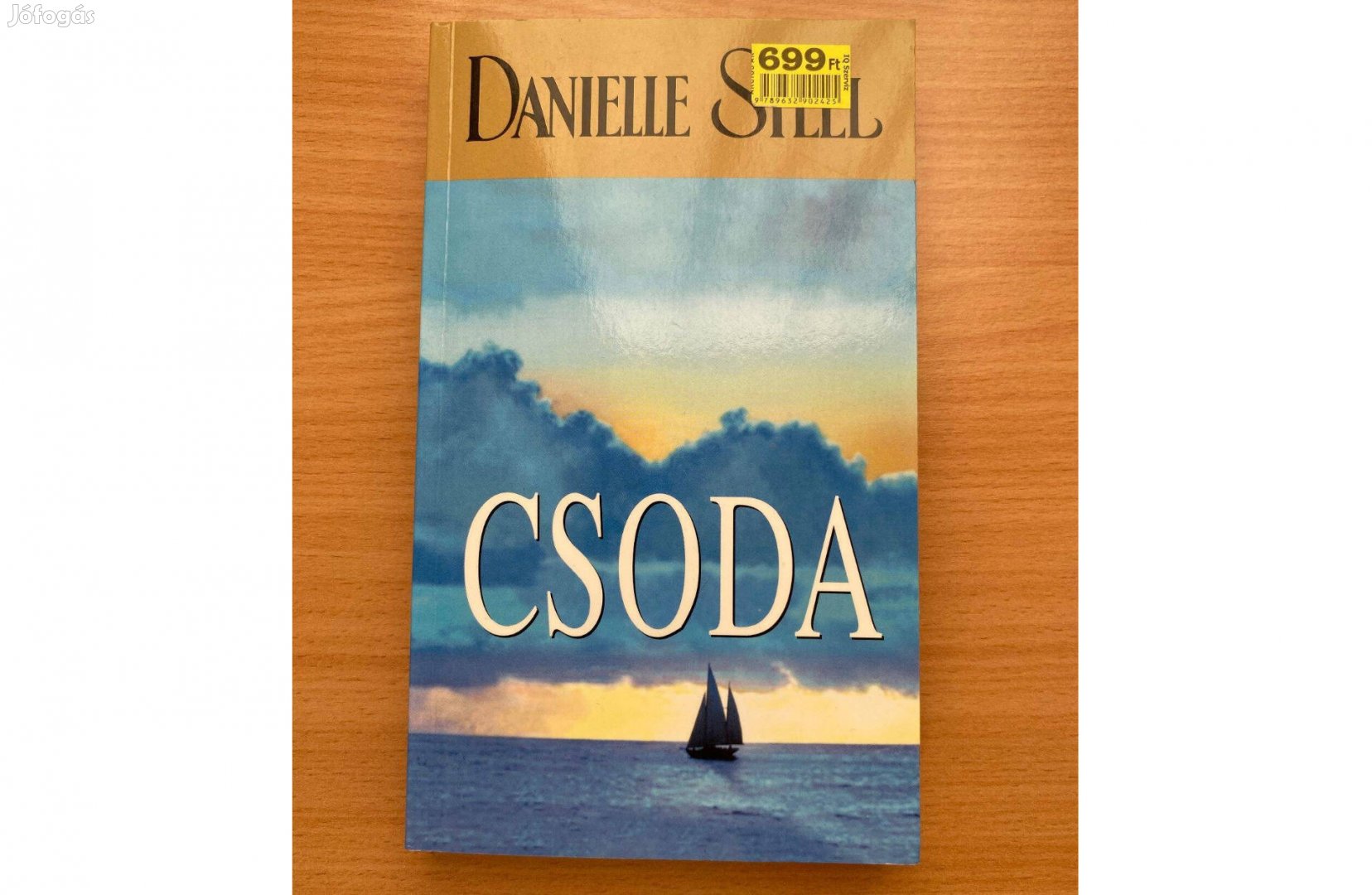 Danielle Steel Csoda című könyv