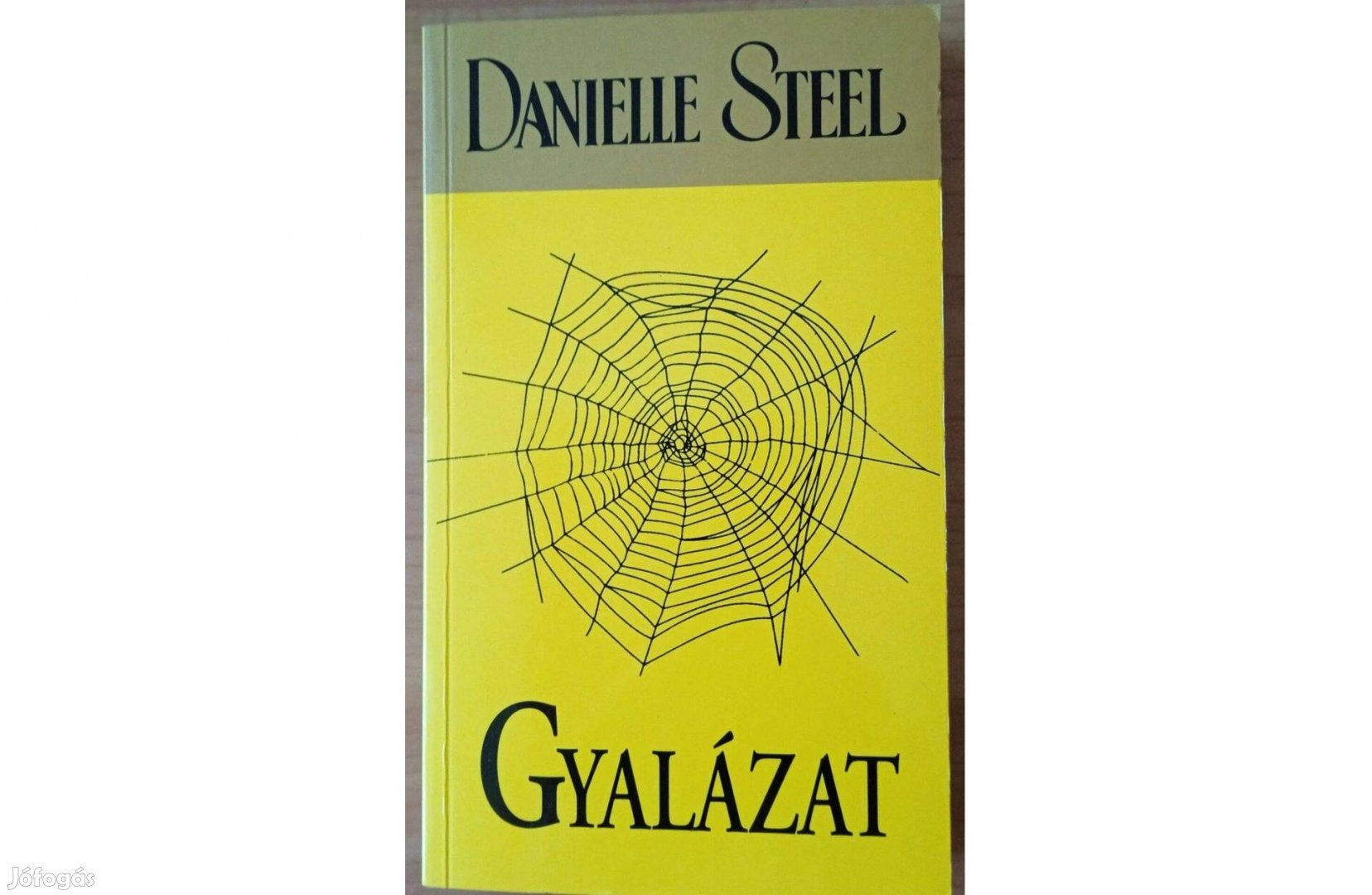 Danielle Steel: Gyalázat