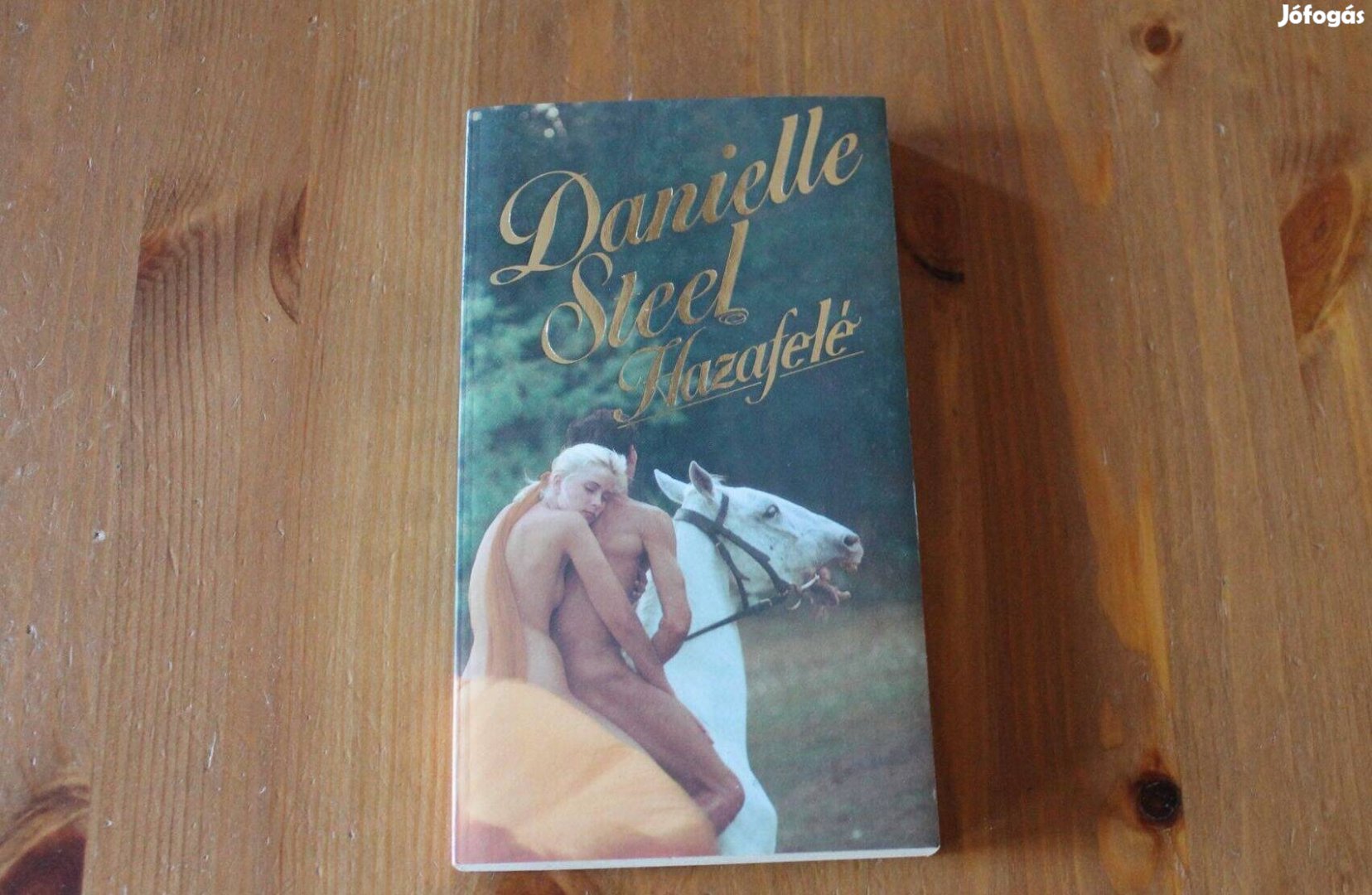 Danielle Steel -Hazafelé