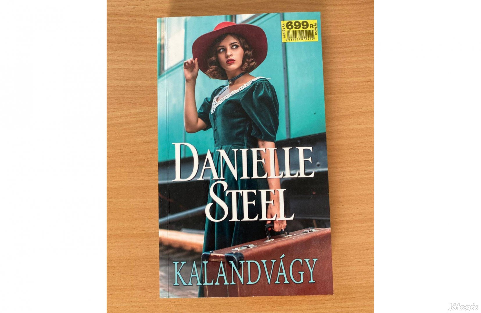 Danielle Steel Kalandvágy című könyv